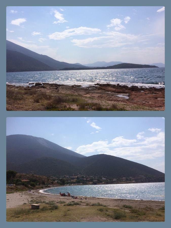 Seaside Villa In Alikes, Chalkida Drosia  Bagian luar foto