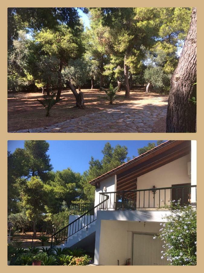 Seaside Villa In Alikes, Chalkida Drosia  Bagian luar foto
