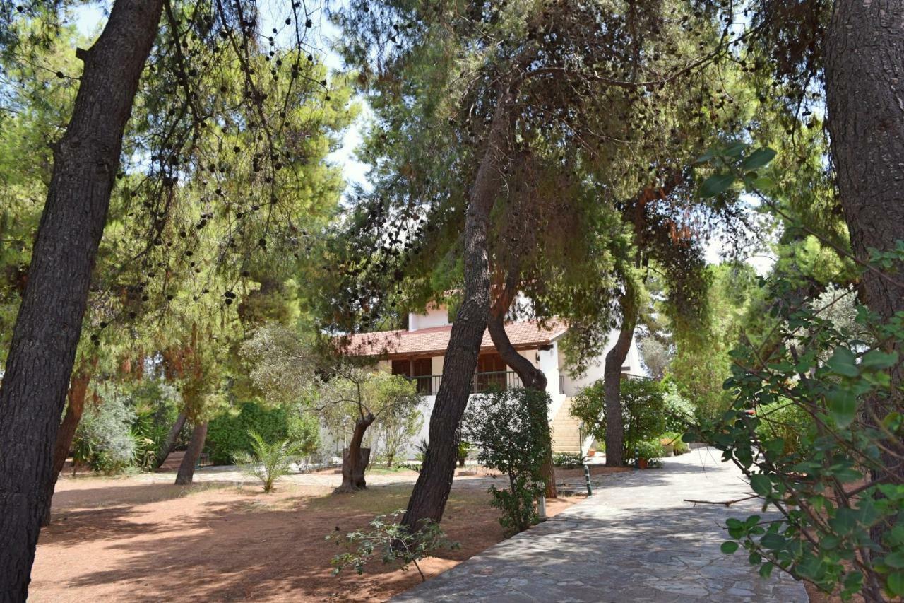 Seaside Villa In Alikes, Chalkida Drosia  Bagian luar foto
