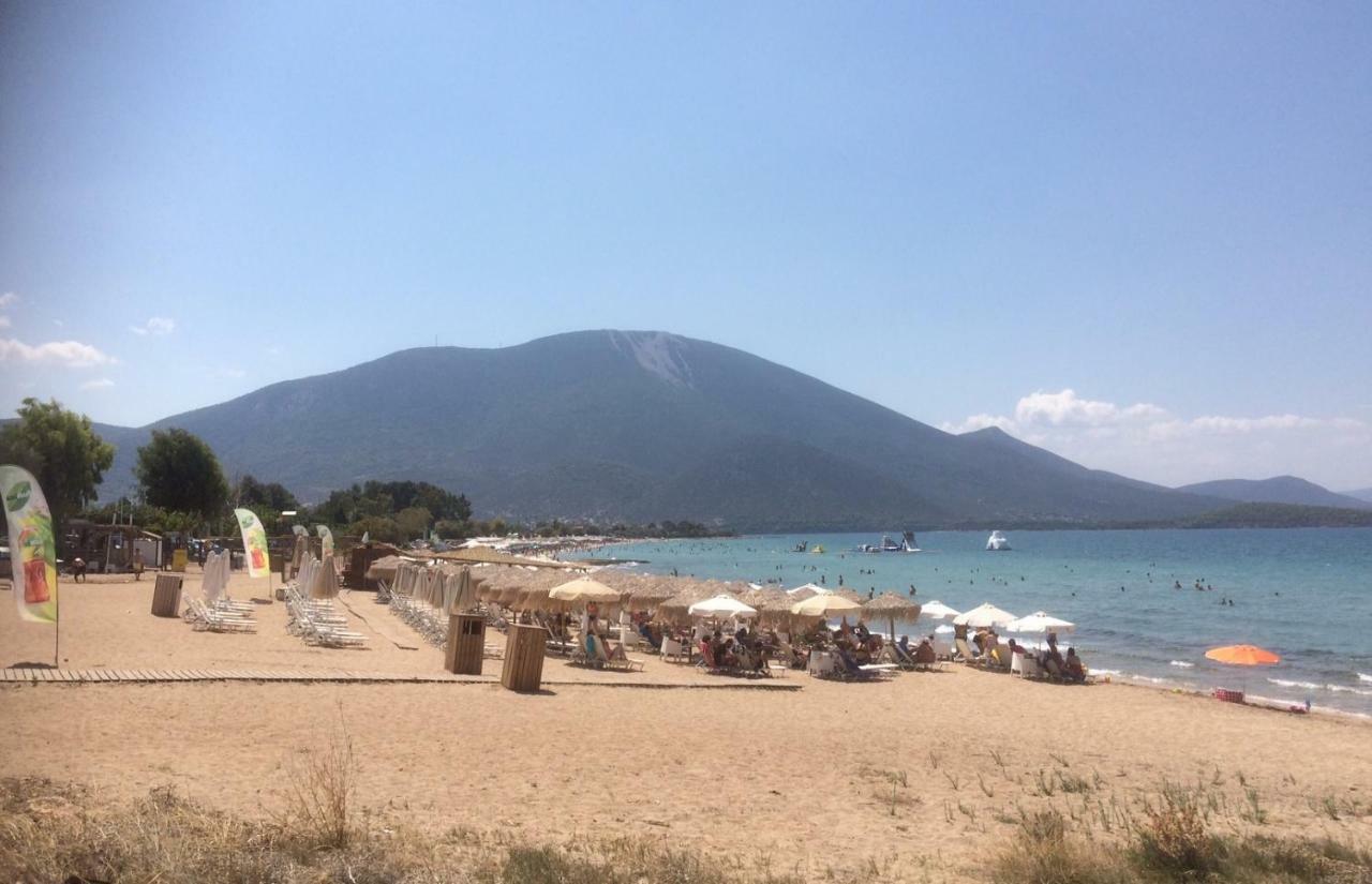 Seaside Villa In Alikes, Chalkida Drosia  Bagian luar foto
